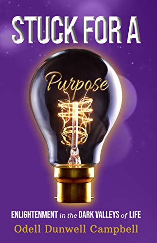 Stuck for a Purpose: Enlightenment in the Dark Valleys of Life on Kindle