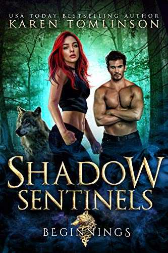 Shadow Sentinels: Beginnings on Kindle