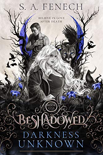 Darkness Unknown (Beshadowed Book 1) on Kindle