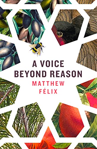 A Voice Beyond Reason on Kindle