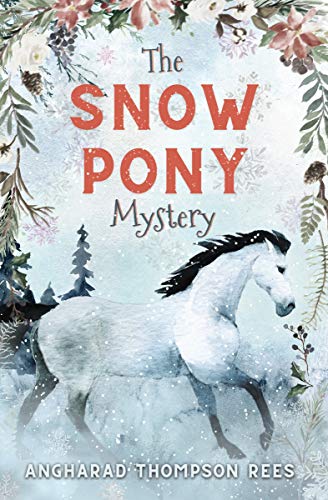 The Snow Pony Mystery on Kindle
