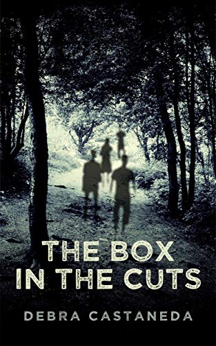 The Box in The Cuts on Kindle