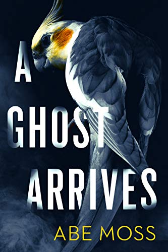 A Ghost Arrives on Kindle