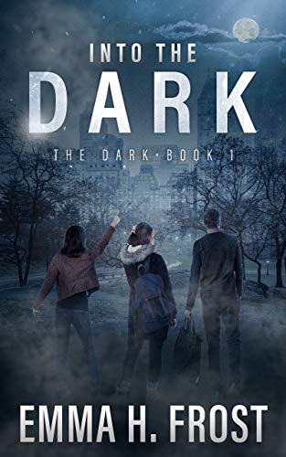 Into The Dark on Kindle