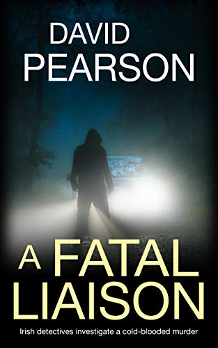 A Fatal Liaison (The Dublin Homicides Book 2) on Kindle