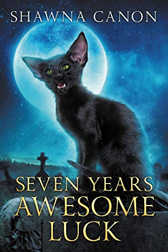 Seven Years Awesome Luck on Kindle