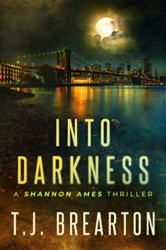 Into Darkness (Shannon Ames Book 1) on Kindle