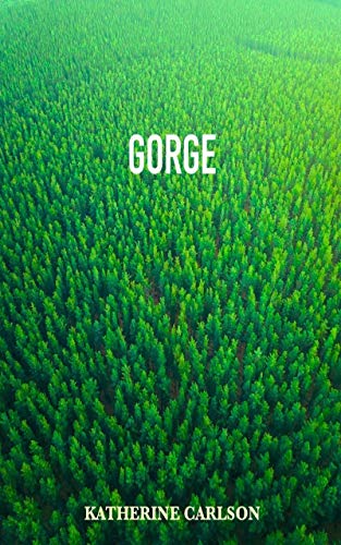 GORGE: A Novel of Suspense on Kindle