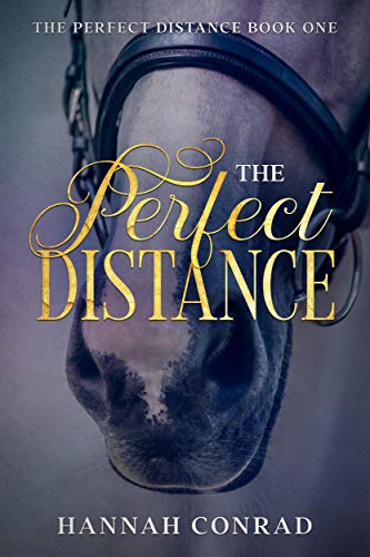 The Perfect Distance on Kindle