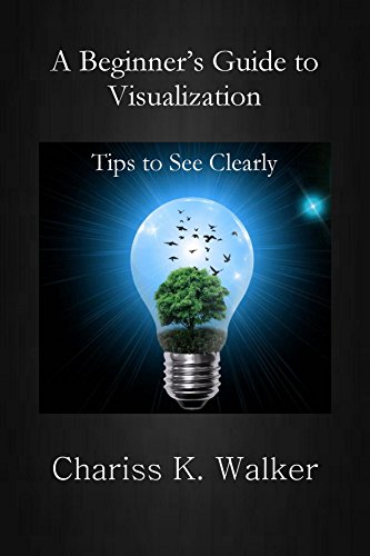 A Beginner's Guide to Visualization on Kindle