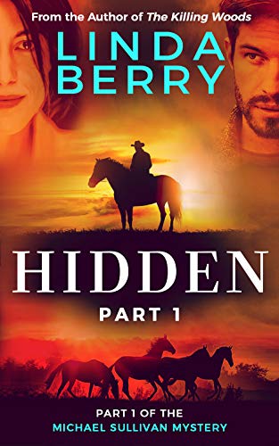 Hidden Part 1: A Michael Sullivan Mystery on Kindle