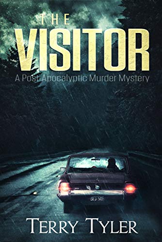 The Visitor on Kindle