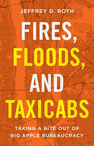 Fires, Floods, and Taxicabs on Kindle