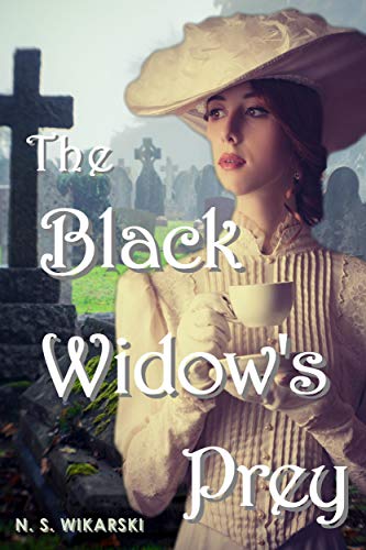 The Black Widow's Prey (Gilded Age Chicago Mystery Series Book 3) on Kindle