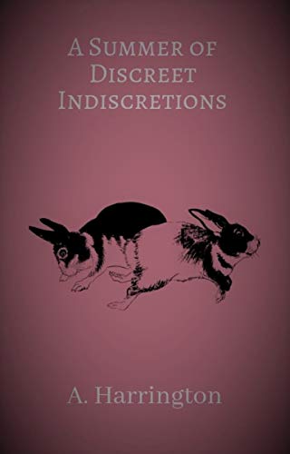 A Summer of Discreet Indiscretions (Discreet Indiscretions Book 2) on Kindle
