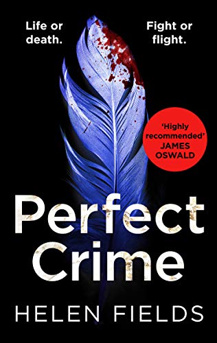 Perfect Crime on Kindle