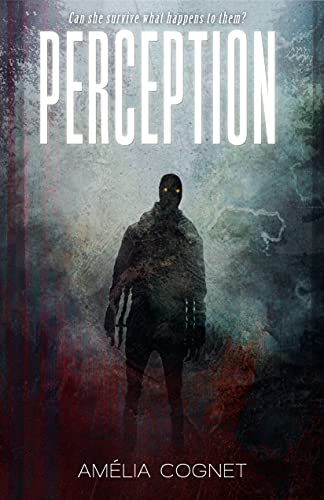 Perception on Kindle