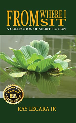 From Where I Sit: A Collection of Short Fiction on Kindle
