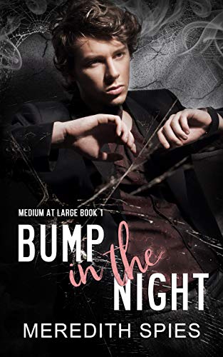 Bump in the Night (Medium at Large Book 1) on Kindle
