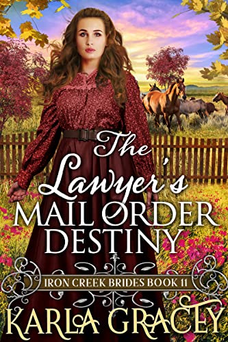 The Lawyer's Mail Order Destiny on Kindle