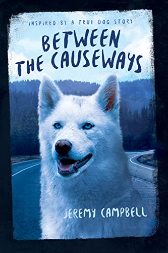 Between the Causeways (Inspired by a True Dog Story Book 1) on Kindle