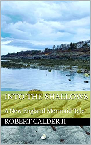 Into The Shallows on Kindle