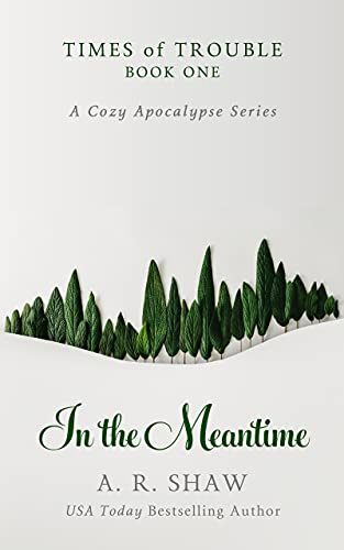 In the Meantime (Times of Trouble Book 1) on Kindle