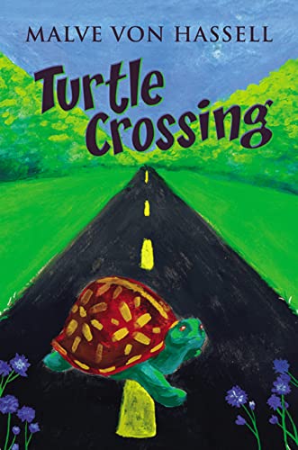 Turtle Crossing on Kindle