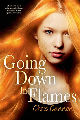 Going Down in Flames (Going Down in Flames Book 1) on Kindle