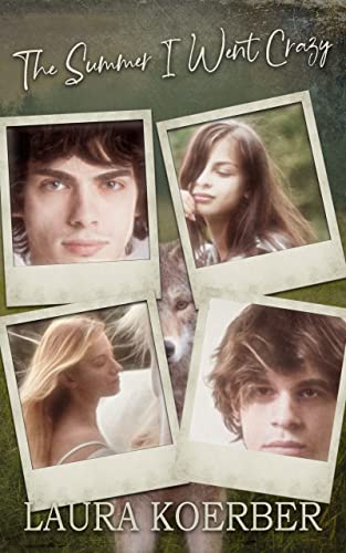 The Summer I Went Crazy on Kindle