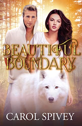 Beautiful Boundary (Boundary Series Book 1) on Kindle