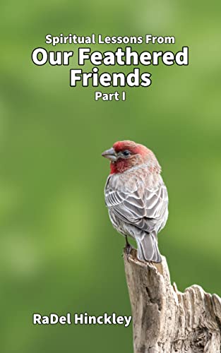 Spiritual Lessons From Our Feathered Friends (Spiritual Lessons from Our Feathered Friends Book 1) on Kindle