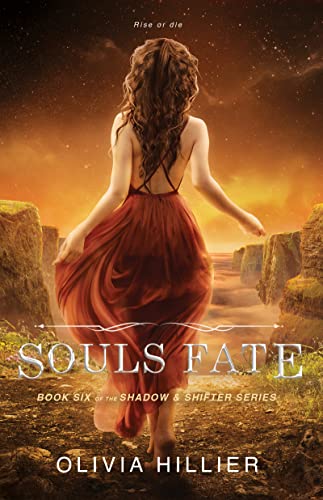 Souls Fate on Kindle