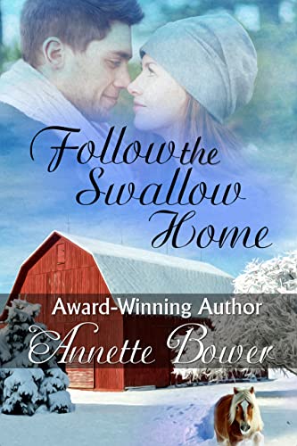 Follow the Swallow Home on Kindle
