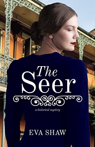 The Seer on Kindle