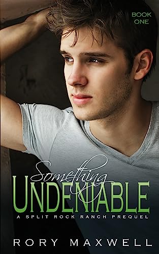 Something Undeniable (Split Rock Ranch Book 1) on Kindle