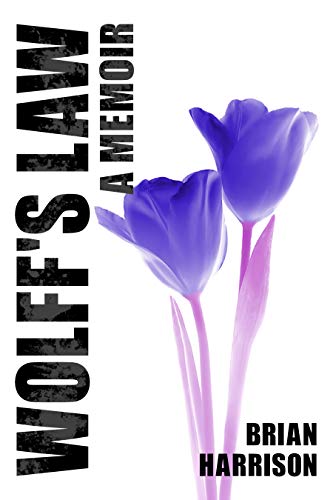 Wolff's Law on Kindle