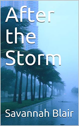 After the Storm on Kindle