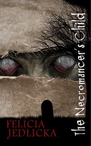 The Necromancer's Child on Kindle