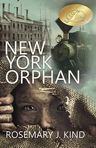 New York Orphan on Kindle