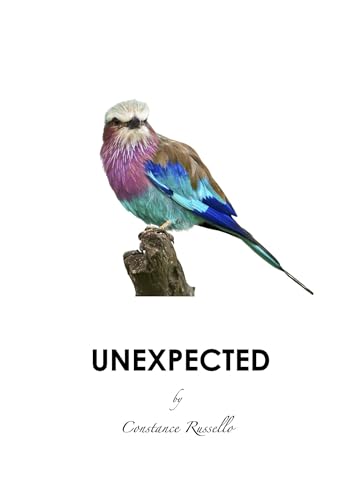 Unexpected (Encounters Book 2) on Kindle
