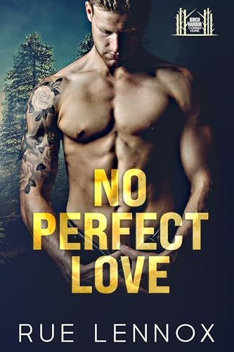 No Perfect Love (Birch Harbor: Coming Home) on Kindle
