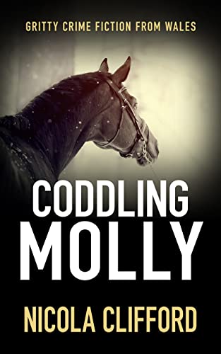 Coddling Molly (The Welsh crime mysteries Book 5) on Kindle