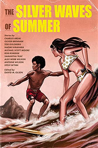 The Silver Waves of Summer on Kindle
