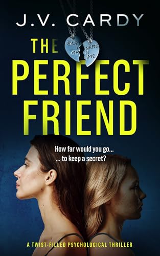 The Perfect Friend on Kindle