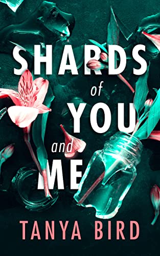 Shards of You and Me on Kindle
