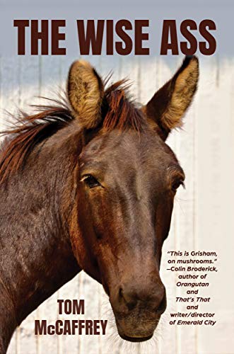 The Wise A** (The Claire Saga Book 1) on Kindle