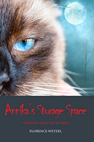 Annika's Storage Space: Thirteen Sinister Stories on Kindle