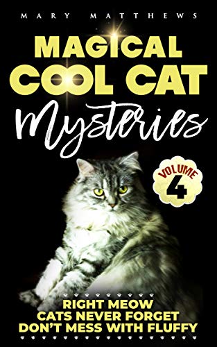 Magical Cool Cat Mysteries (Book 4) on Kindle