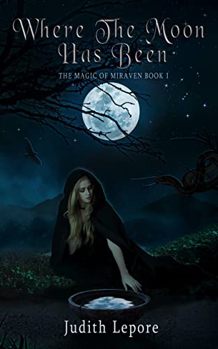 Where the Moon Has Been on Kindle